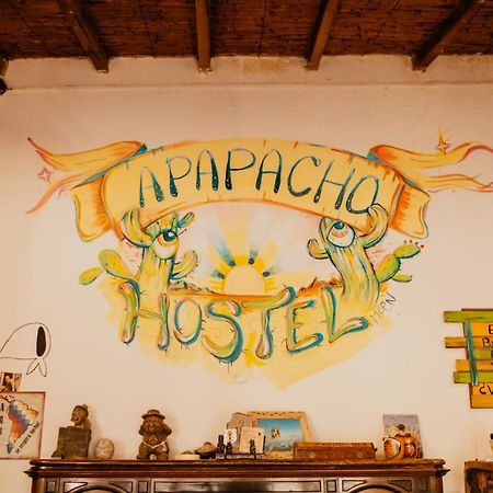 Apapacho Hostel 틸카라 외부 사진