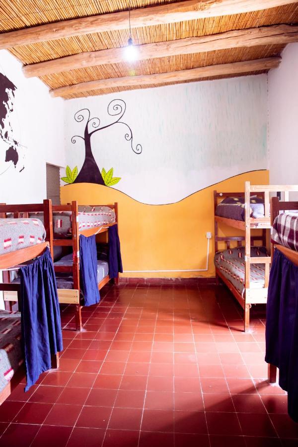 Apapacho Hostel 틸카라 외부 사진